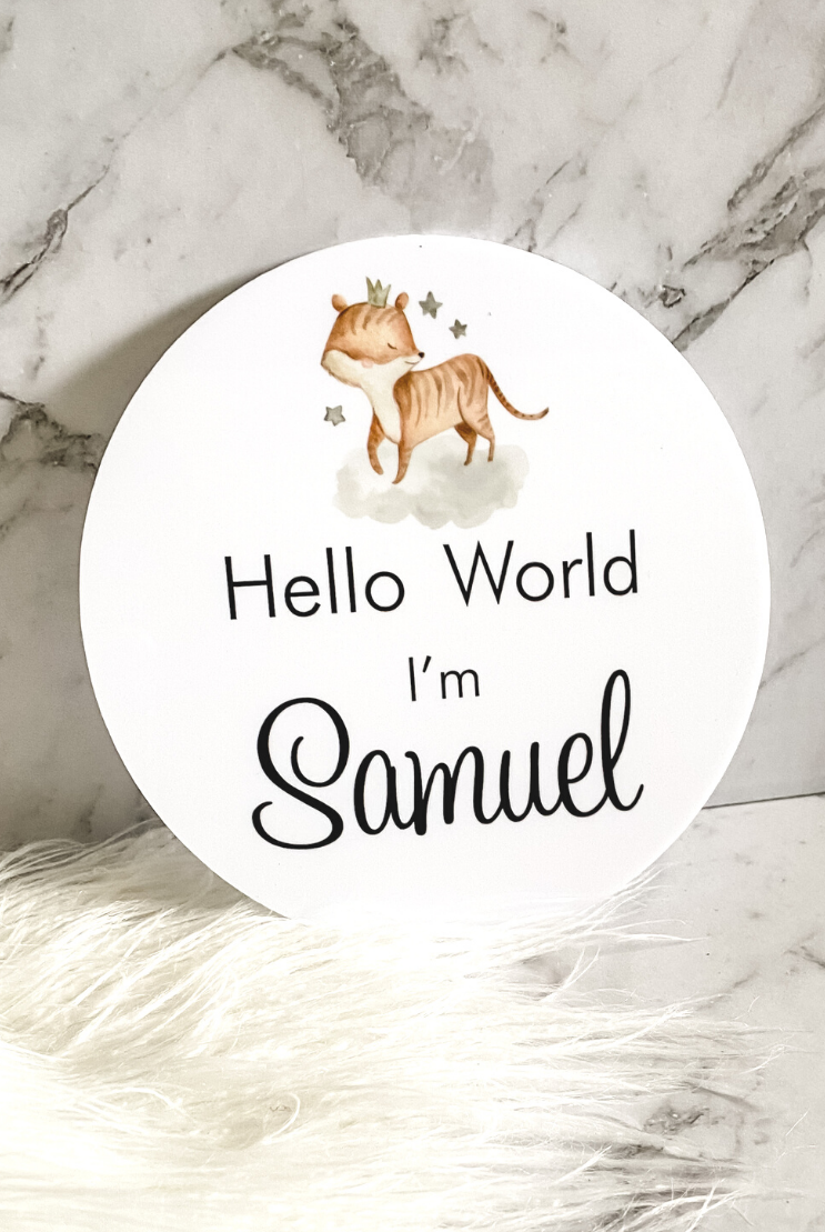 Hello World Personalised Plaque